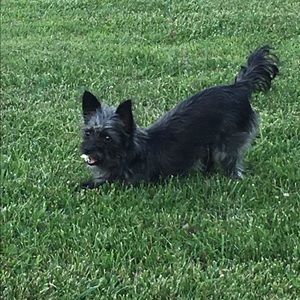 Meet your Posher, Peggy